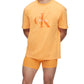 Calvin Klein Men's Pride Logo Print T-Shirt Orange Size X-Small