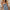 free-people-lucinda-plaid-midi-dress-1