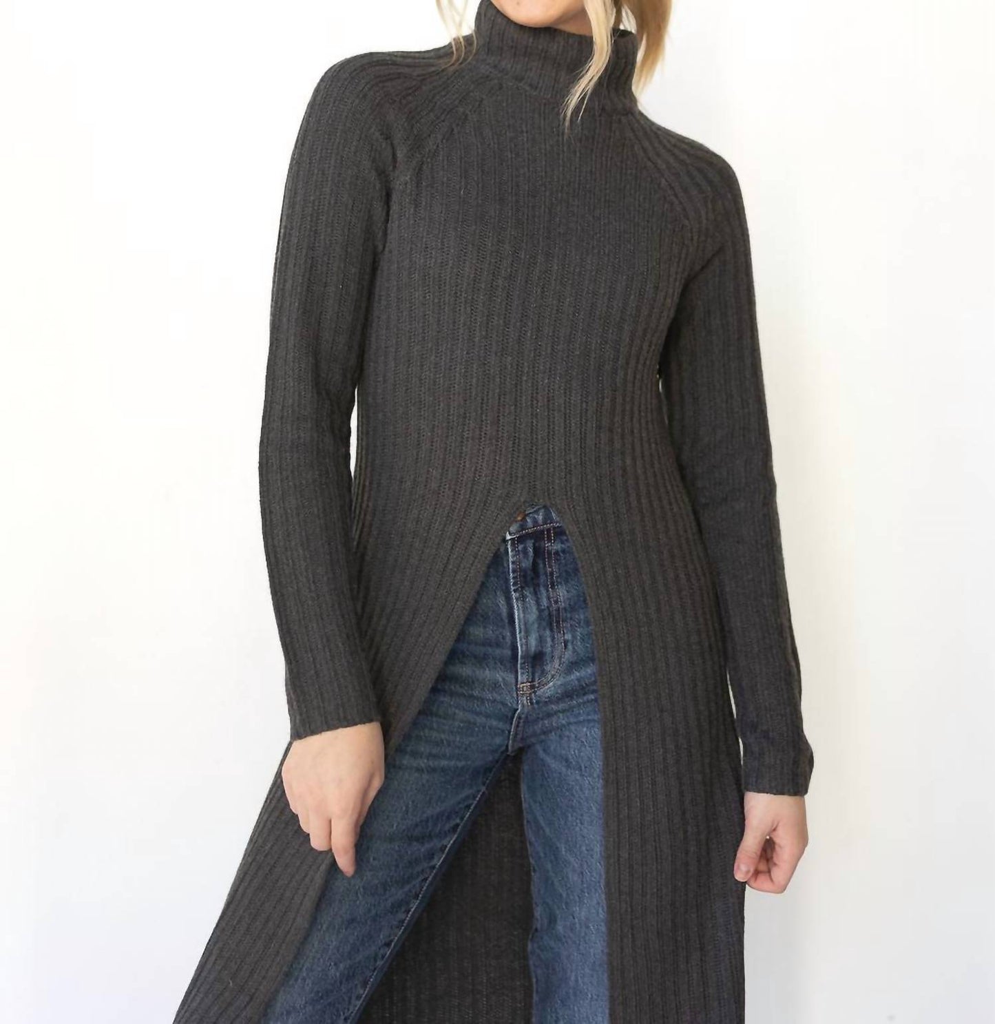 Astr - Estilo Long Sleeve Turtle Neck Sweater