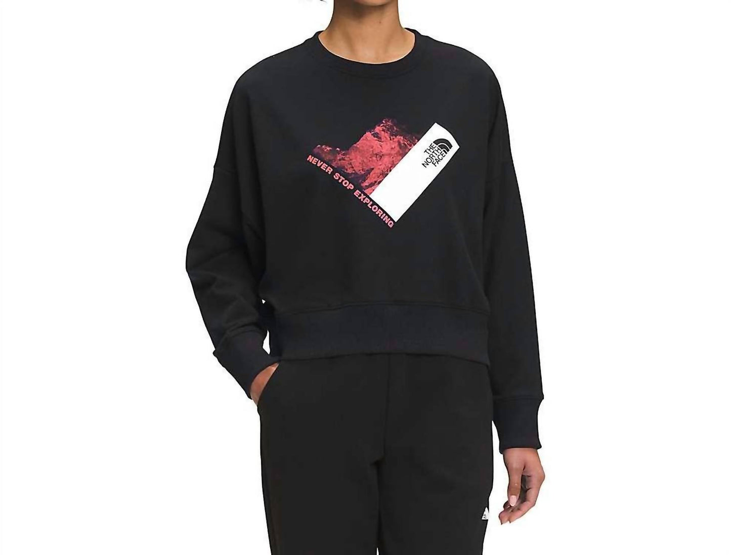 The North Face - Recycled Climb Graphic Crew Top
