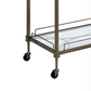 Aditya Mirrored & Antique Brass Finish Serving Cart