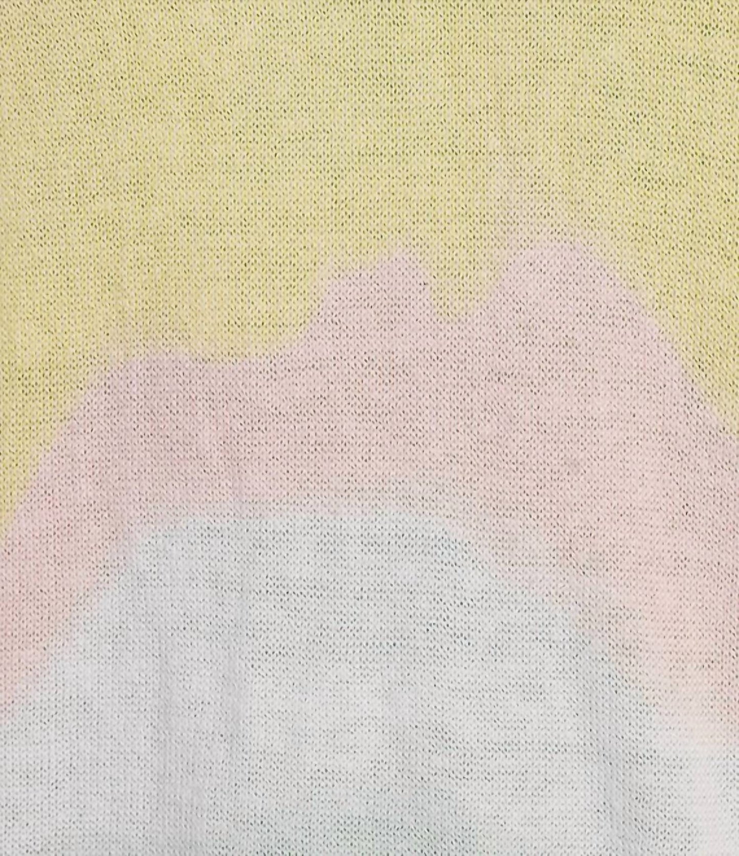 Charlie B - Knit Printed Sweater