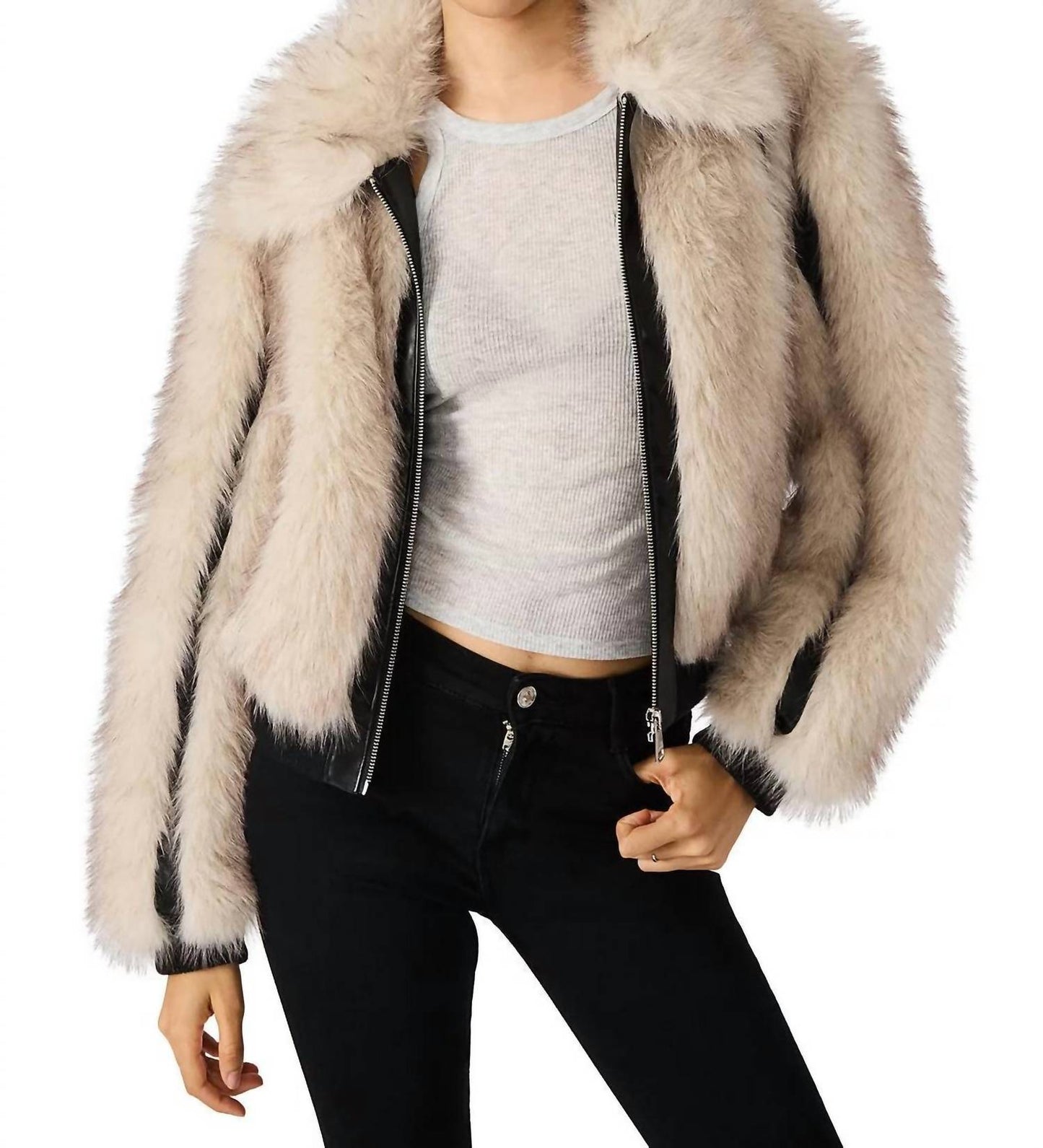 Steve Madden - Charmaine Jacket