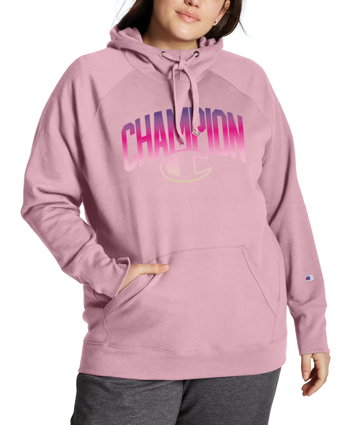 Champion Women's Powerblend Graphic Hoodie Purple Size 3X