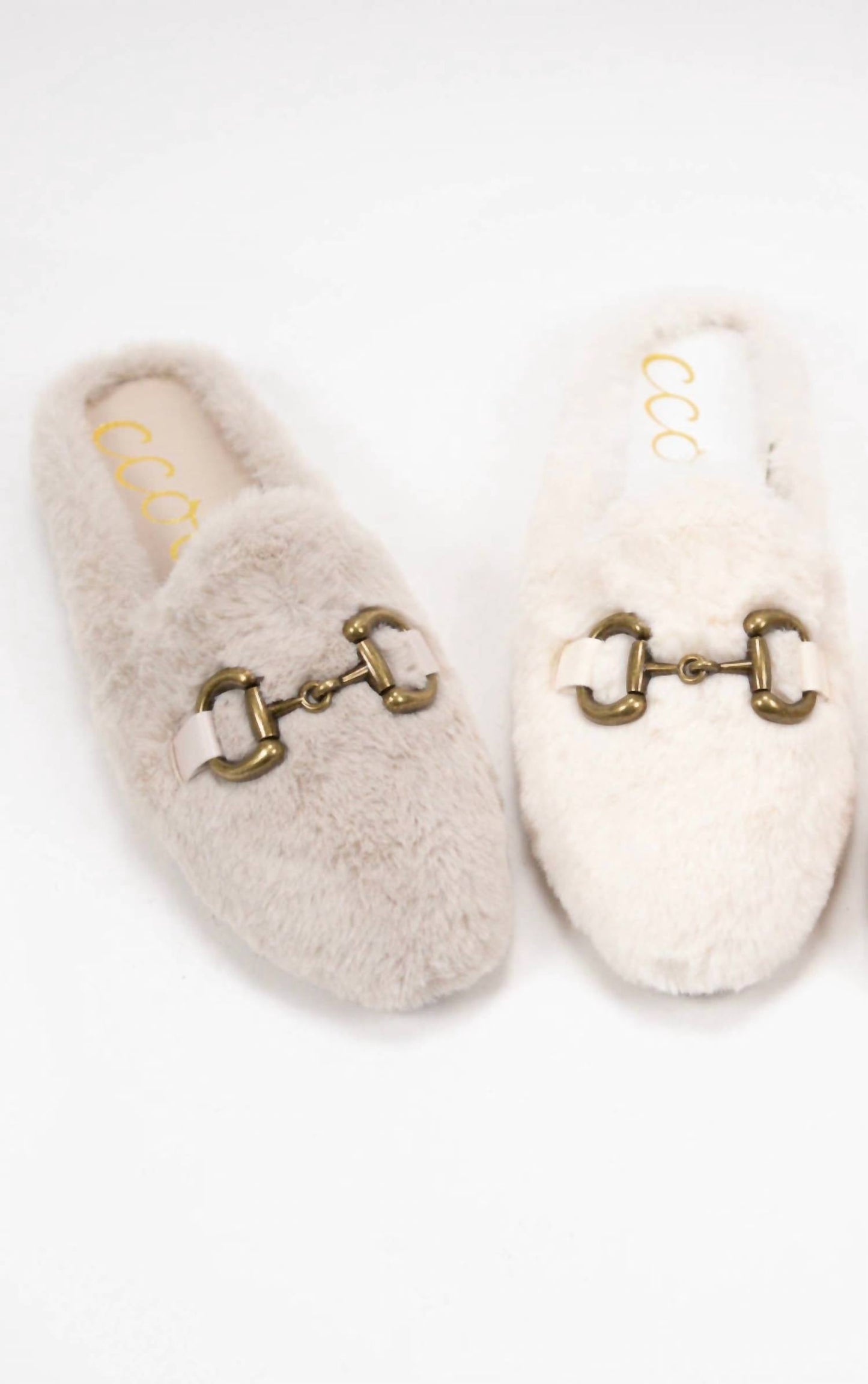 Ccocci - Etude Mule Slides