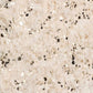 Steve Madden - Cindi Sequin Skirt