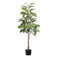 52" Tall Artificial Rubber Tree Indoor Plant
