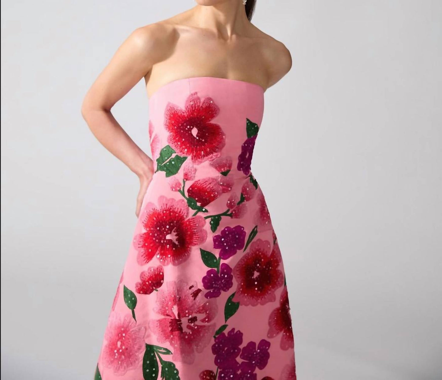 Carolina Herrera - Floral-embroidered Strapless A-line Gown
