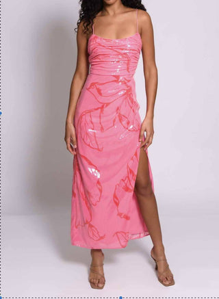 Hutch - Ariel Shimmer Dreaa