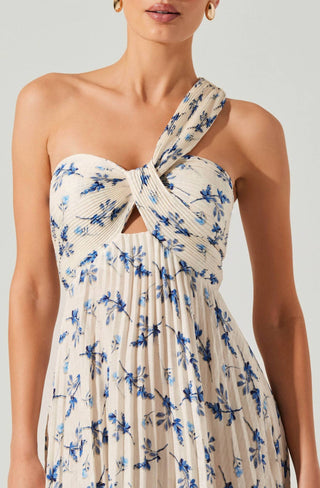 Astr - Rasya Pleated Floral Maxi Dress