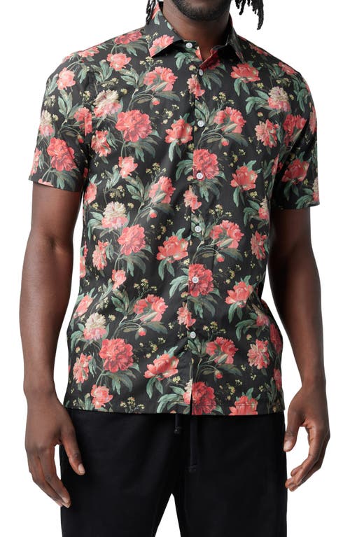 SS Big on Point Shirt Stretch