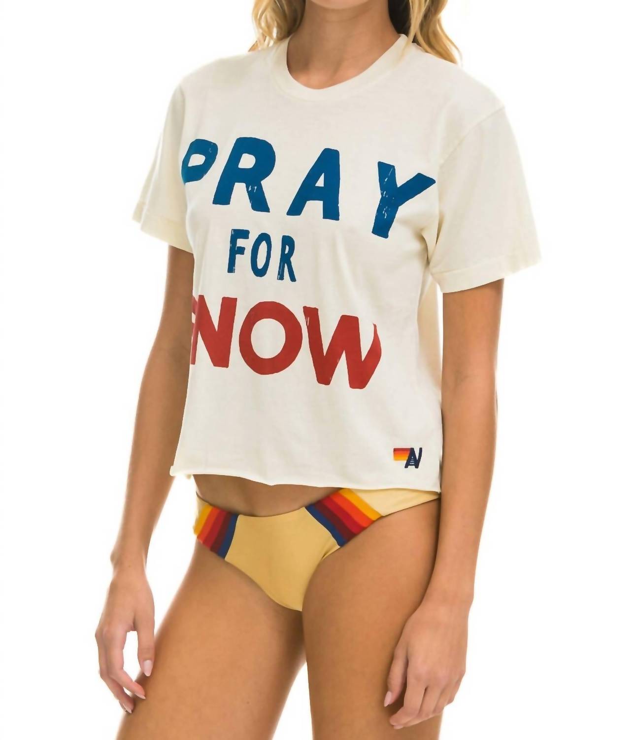 Aviator Nation - Pray for Snow Boyfriend Tee