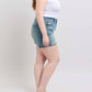 Judy Blue - Mid Rise Vintage Button Fly Destroy Denim Short