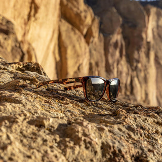 Suncloud - Topsail Polarized Sunglasses - 20323108655jq