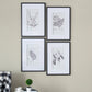 Verdura Botanica: Four-Print Houseplant Pencil Art Set