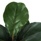 49" Tall Artificial Plant Fiddle Tree with Real Touch Leaves