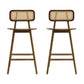 Bari Indoor Wood Barstool (Set of 2)
