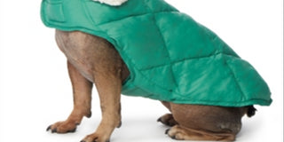 32 Degrees Women's Fleece Collar Quilted Dog Coat Green Size Large