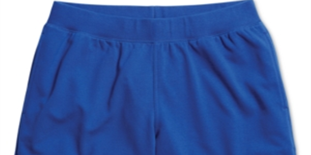 Champion Men's Double Dry 9 Terry Gym Shorts Blue Size X-Large