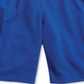 Champion Men's Double Dry 9 Terry Gym Shorts Blue Size X-Large