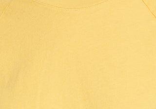 Madewell Women's Softfade Cotton Raglan T-Shirt Yellow Size X-Small