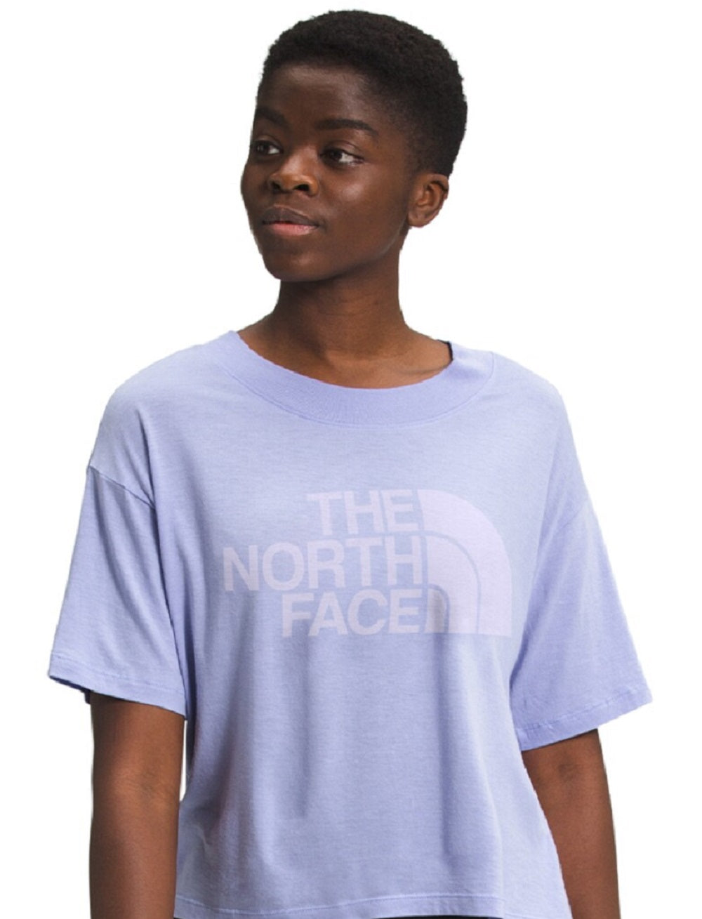The North Face Women's Logo Graphic Short Sleeve Crew Neck T-Shirt Purple Size Large