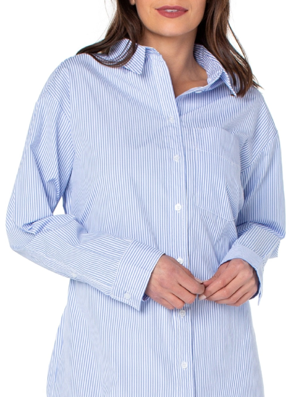 Earnest Sewn Women's Tie Back Button Down Dress Blue Size X-Large