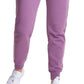Champion Women's Powerblend Jogging Pants Purple Size X-Large