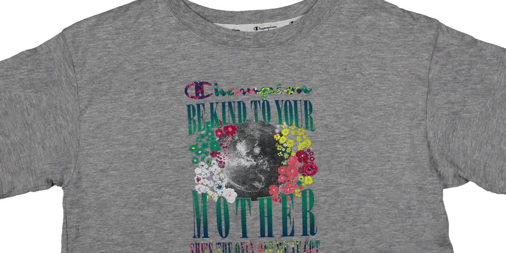 Champion Women's Graphic Cropped Short Sleeve T-Shirt Gray Size X-Small