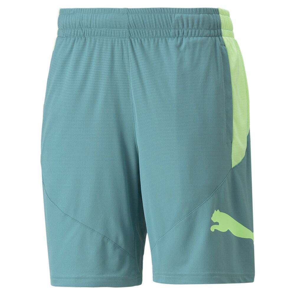 Puma Men's Cat Short Blue Size Large