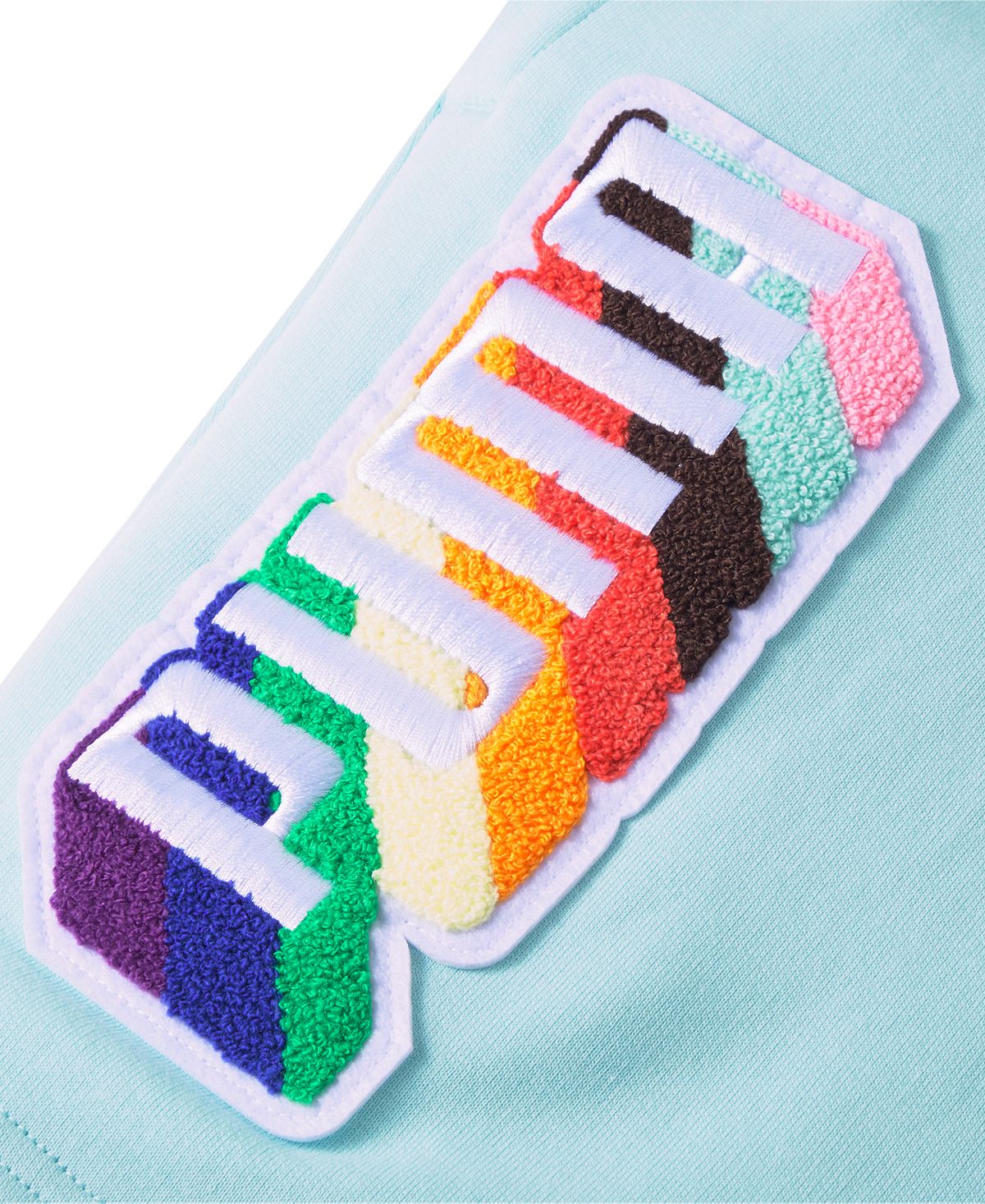 Puma Men's Pride Regular Fit Tufted Chenille Logo French Terry Shorts Blue Size Small