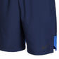 Nike Men's Dri FIT Flex Woven Shorts Blue Size Medium
