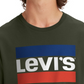 Levi's Men's Sportswear Logo Graphic Crewneck T shirt Green Size XX-Large