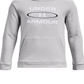 Boys 8-20 Under Armour Graphic Fleece Hoodie Boy's Size: Large Grey