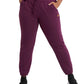 Champion Women's Velour Blocked Jogger Pants Purple Size X-Small