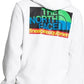 The North Face Men's Graphic Injection Hooded Sweatshirt White Size X-Large