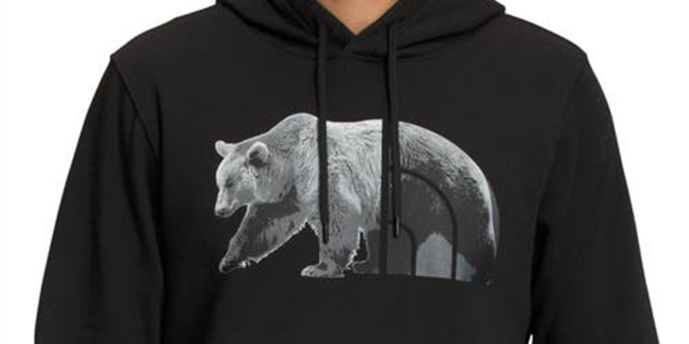 The North Face Men's Bear Logo Hoodie Sweatshirt Black Size XX-Large