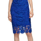 Calvin Klein Women's Sleeveless Lace Sheath Dress Blue Size 10