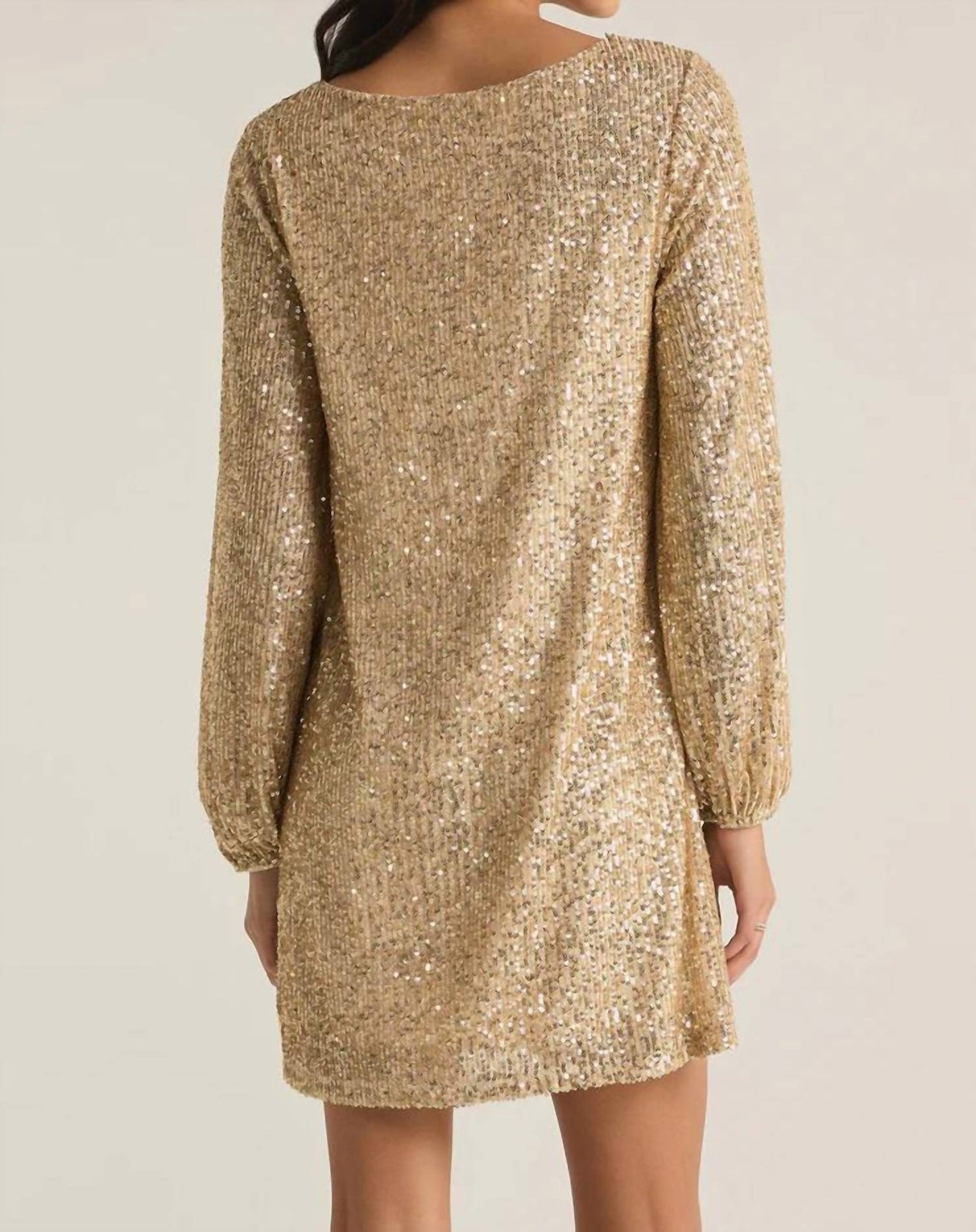 Z Supply - Andromeda Long Sleeve Mini Dress