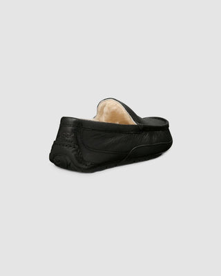 Ugg - Men Ascot Slipper