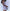 free-people-never-better-mini-dress