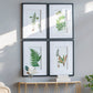 Verdant Grace™ — Elegant Fern Print Set