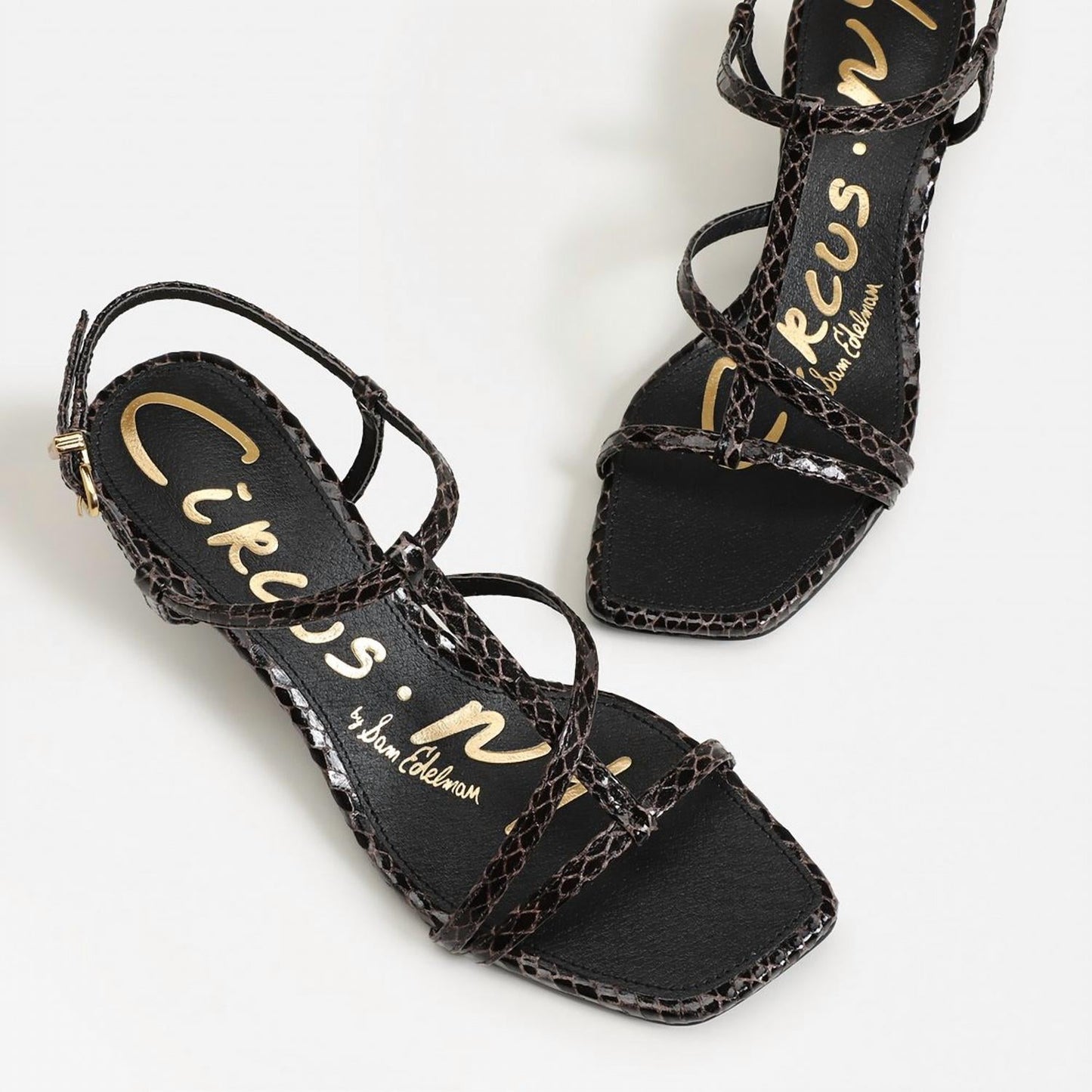 Circus By Sam Edelman - Women's Jaida Kitten Heel Sandals