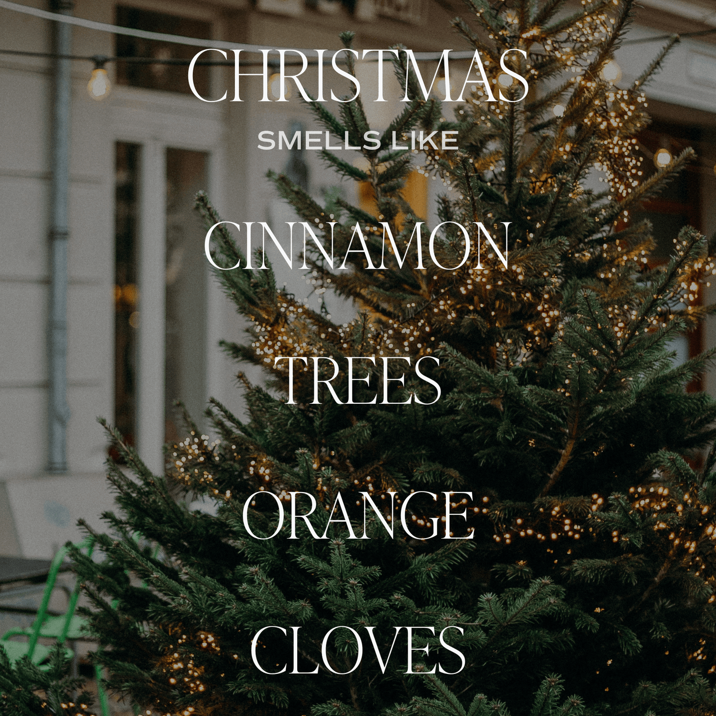 Christmas Candle Gift Box Set (Christmas, Warm and Cozy, Fraser Fir)