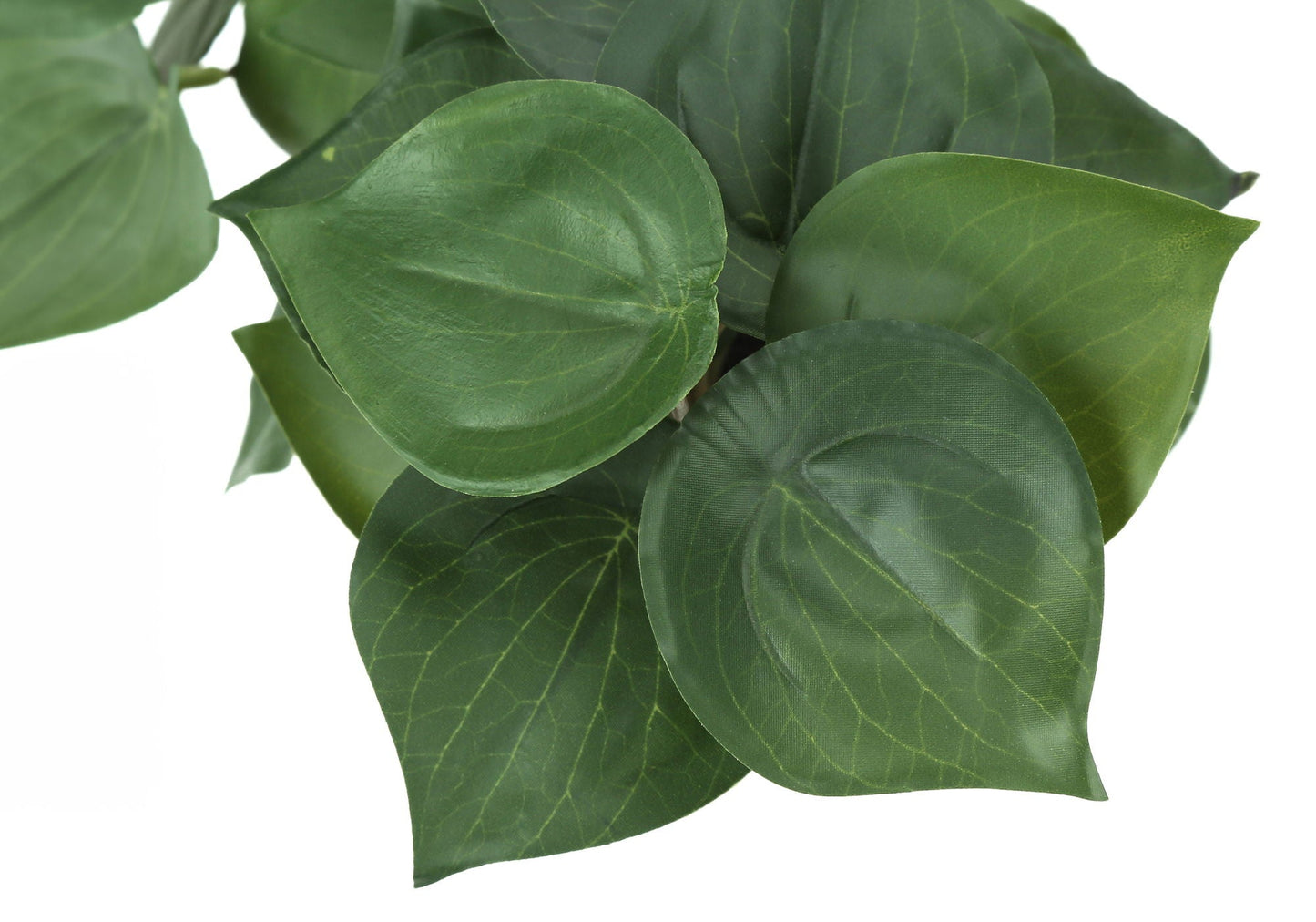 8" Tall Artificial Alocasia Plant Set of 2