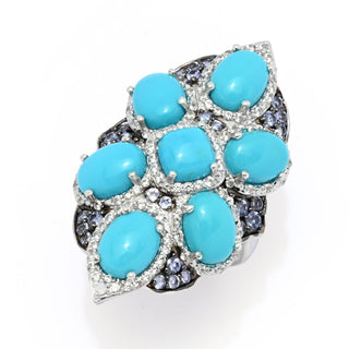 Gem Treasures Sleeping Beauty Turquoise & Tanzanite Shield Ring
