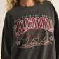Z Supply - CALI BEAR SUNDAY SWEATSHIRT