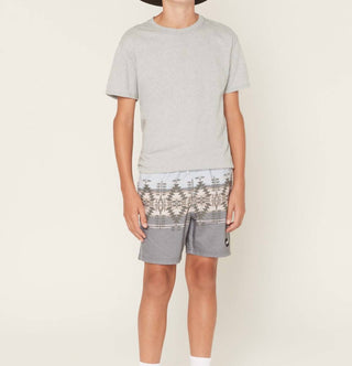 Hooey - Boy's Stripe Volley Boardshorts