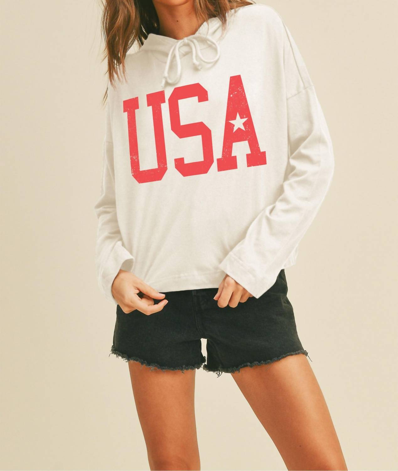 Protrend - Usa Hooded Pullover