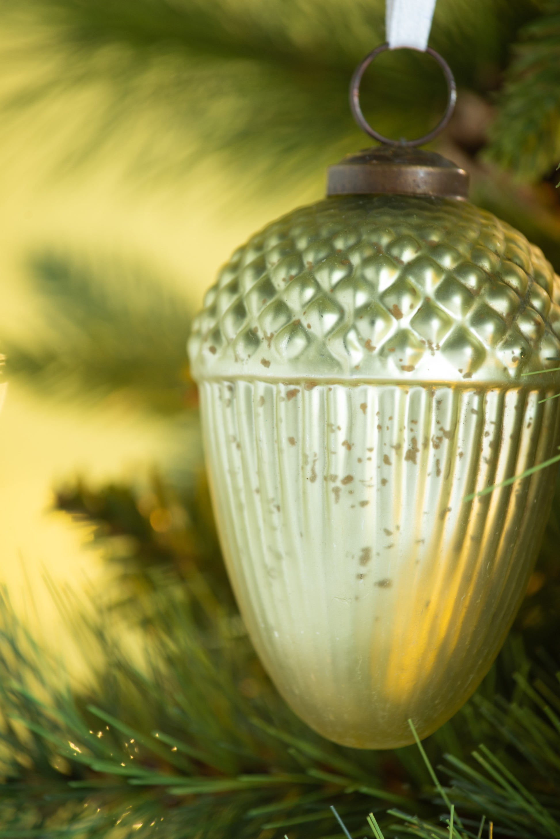 21819508